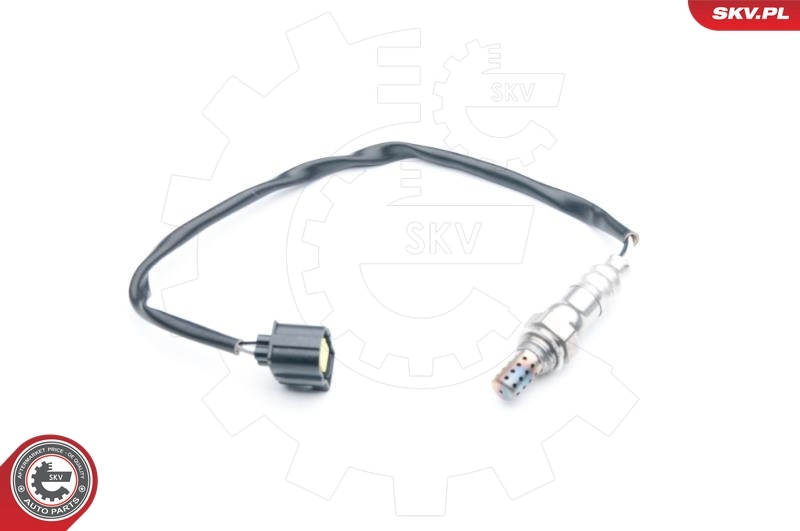 Oxygen Sensor